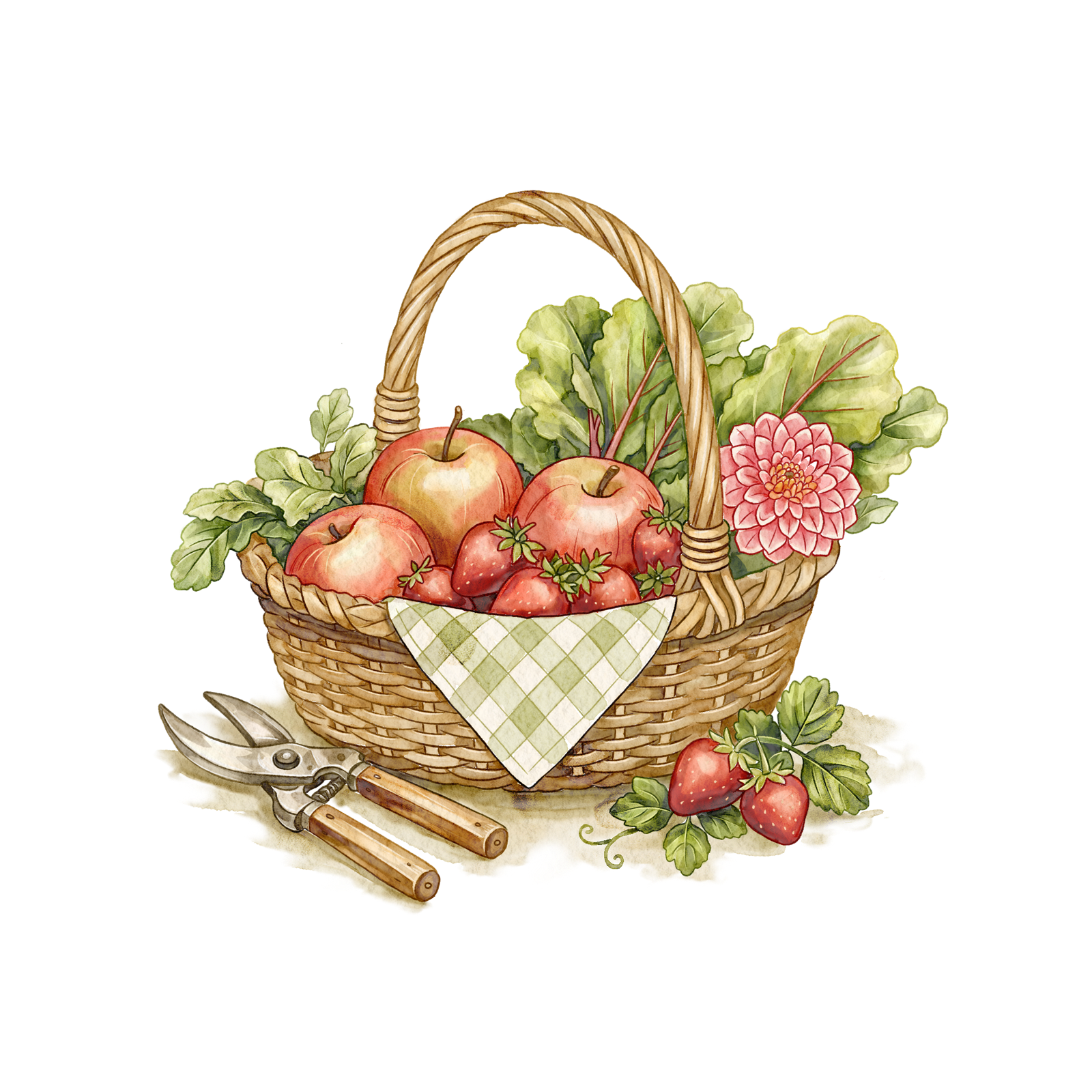 Watercolour basket of apples, strawberries, a dahlia and a pair of secateurs