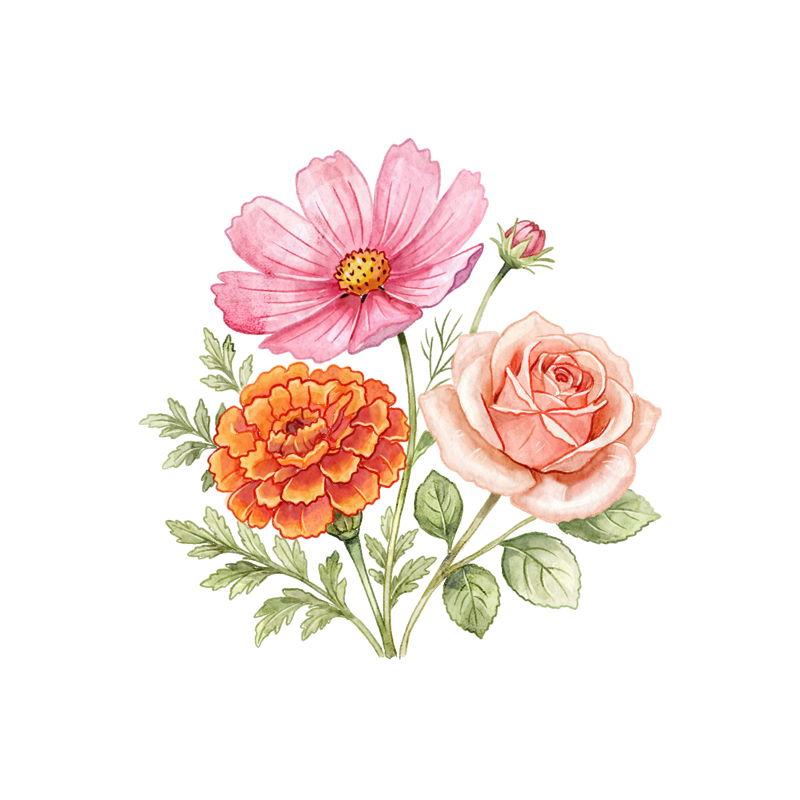 Watercolour illustration of flowers