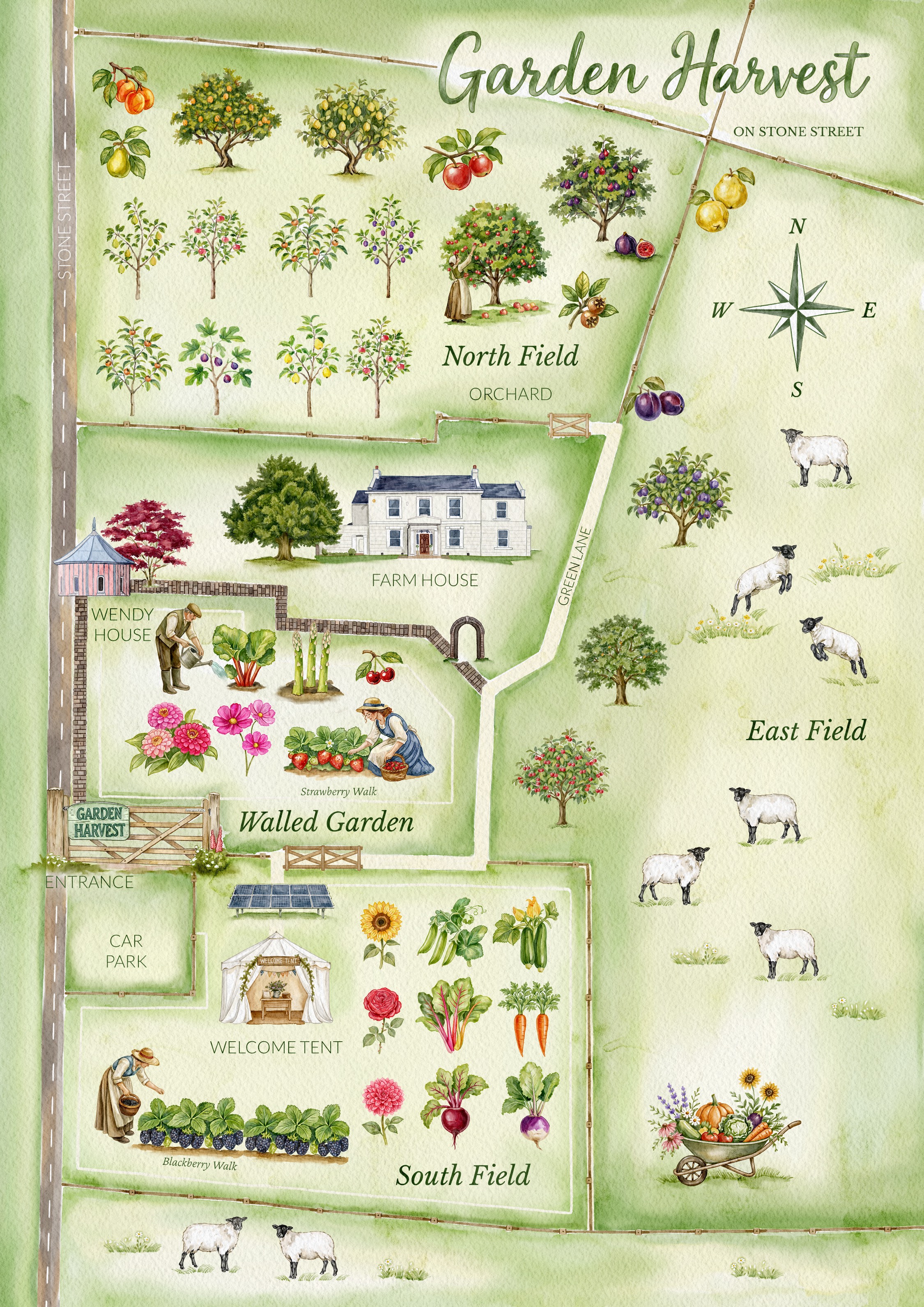Watercolour map of Garden Harvest, showing the walled garden, north field orchard, east field with sheep, south field, farm house, welcome tent, blackberry walk and the car park off Stone Street.